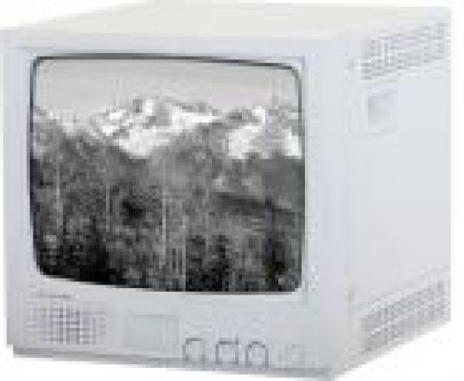 MONITOR B/W 15
